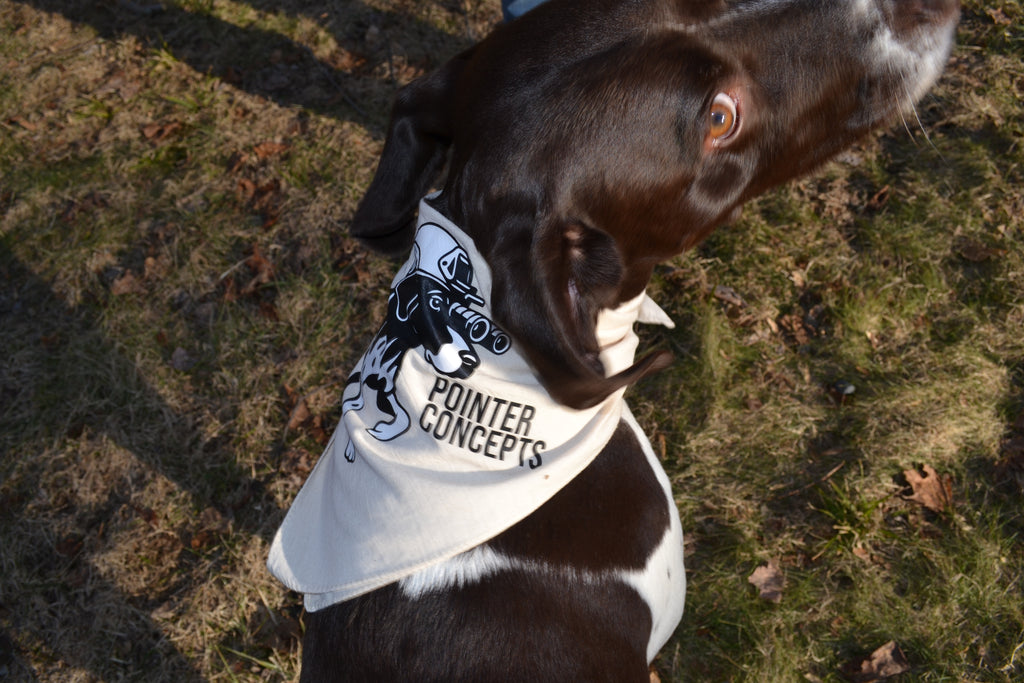 TUCKER LOGO BANDANNA