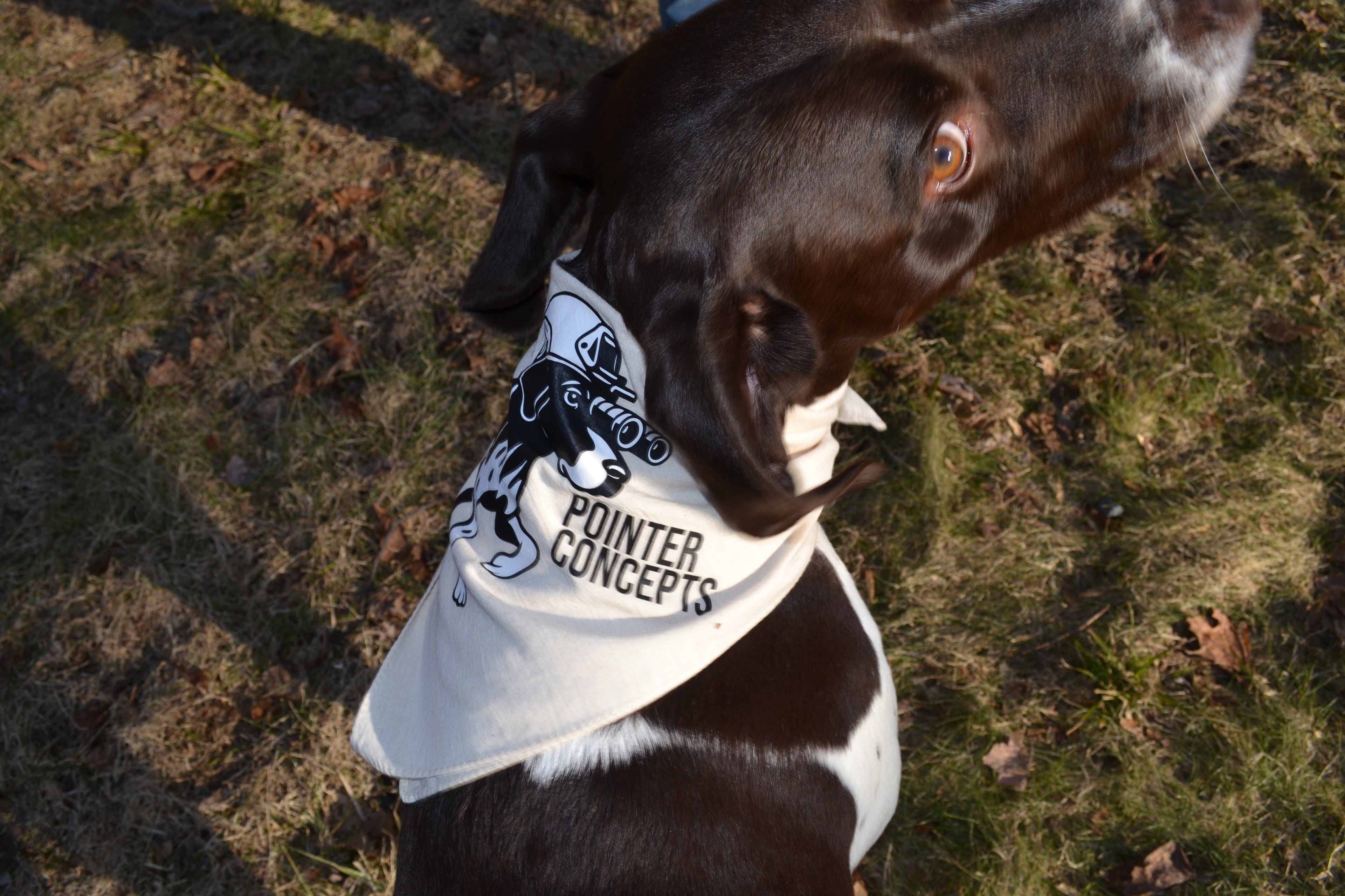 TUCKER LOGO BANDANNA